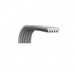 Courroie 7 dents 1250h7el lave-linge/seche-linge - 1250H7MAEL