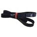 Courroie 1185 h 8 el      lave-linge/seche-linge - 1185H8EL