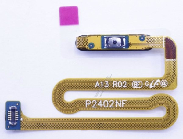 Nappe interne d'origine Samsung pour Galaxy A13 5G - SM-A136B